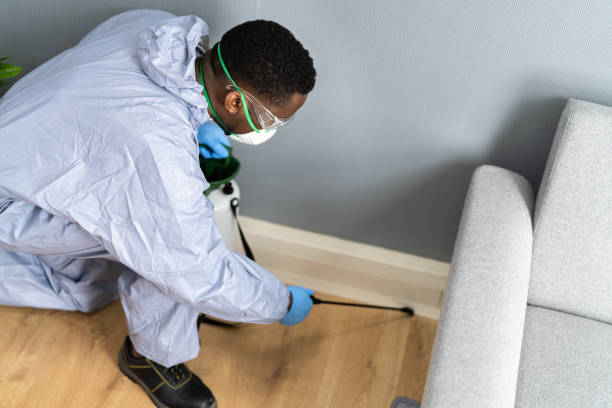 Best Termite Inspection and Treatment  in Greencastle, IN